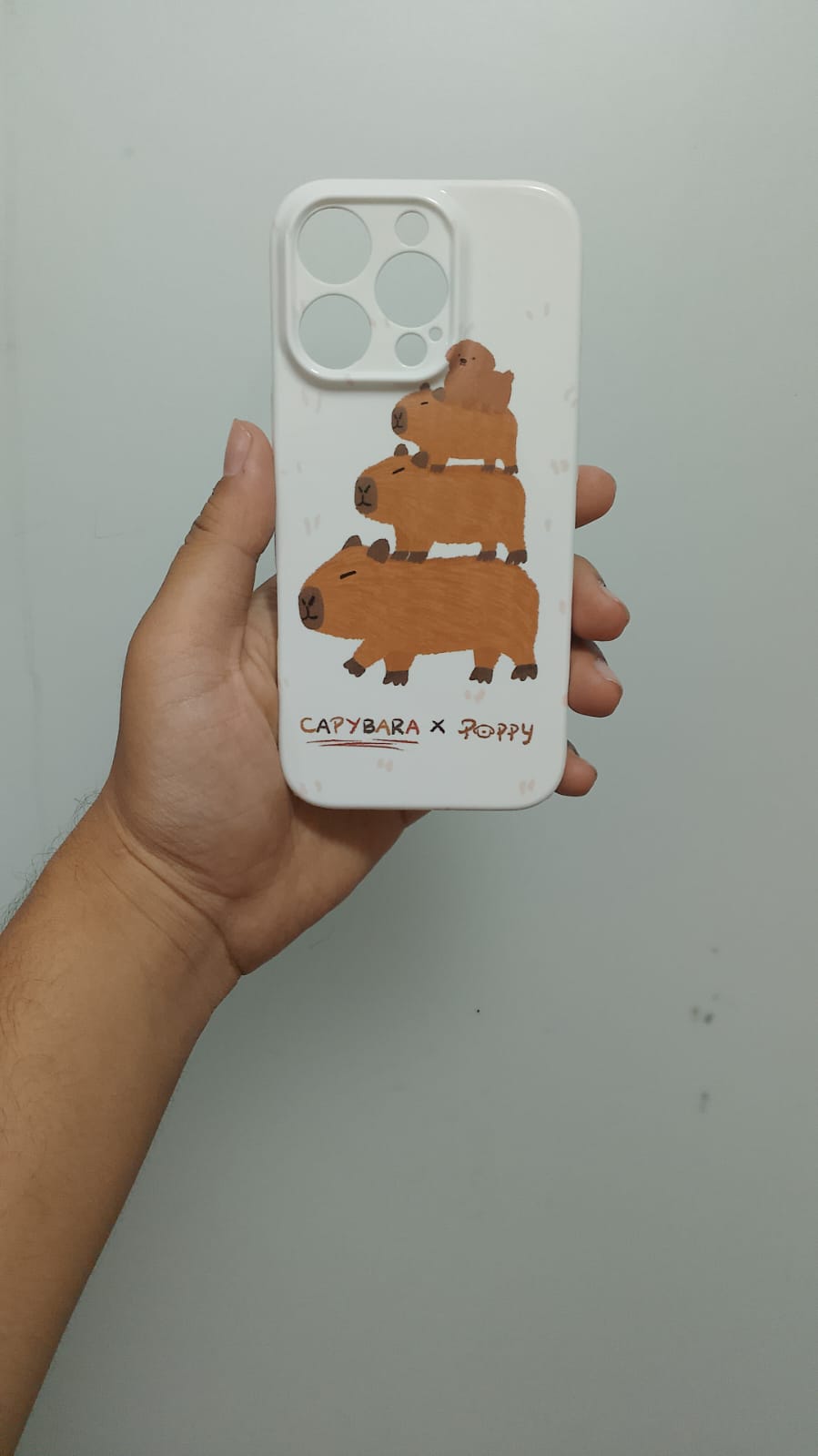 PK185 Mix case - iphone 16 pro